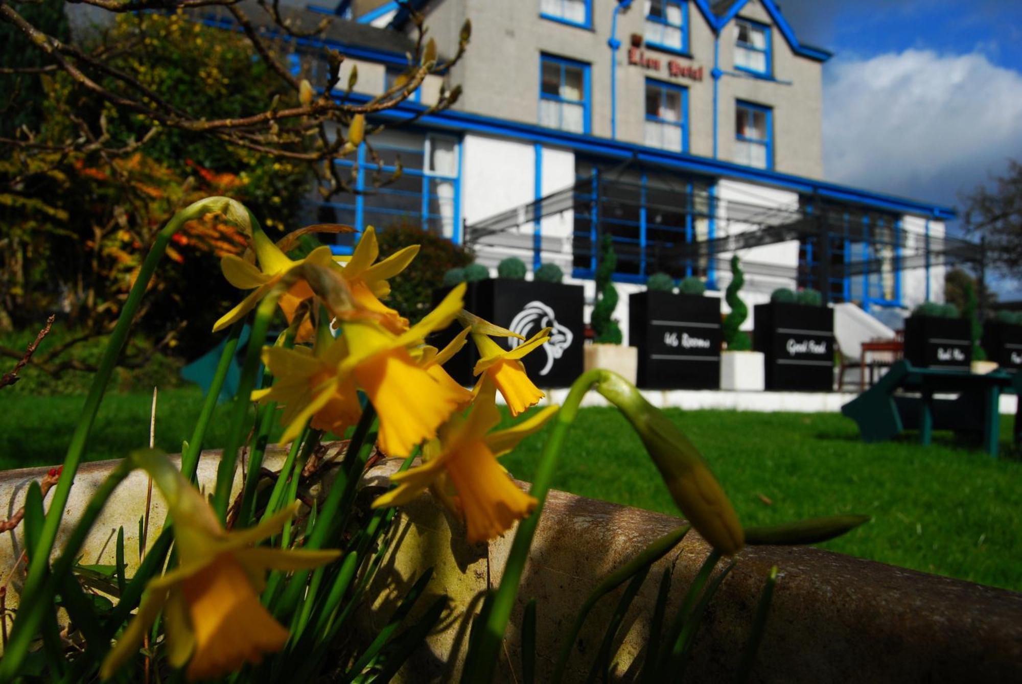 Lion Hotel & Studio Apartments Criccieth Εξωτερικό φωτογραφία